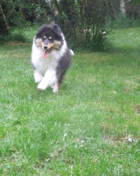 prince of sunlight Deja vu