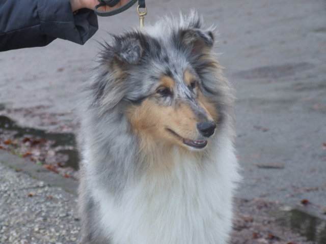 Hypnotic beauty des marecages du Prince