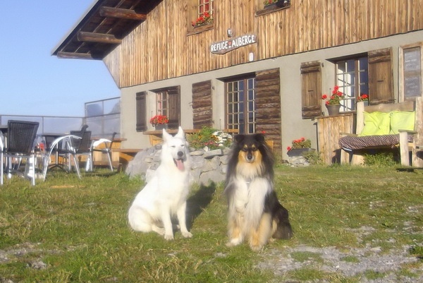Le voyage d'Erwin dans les Alpes.